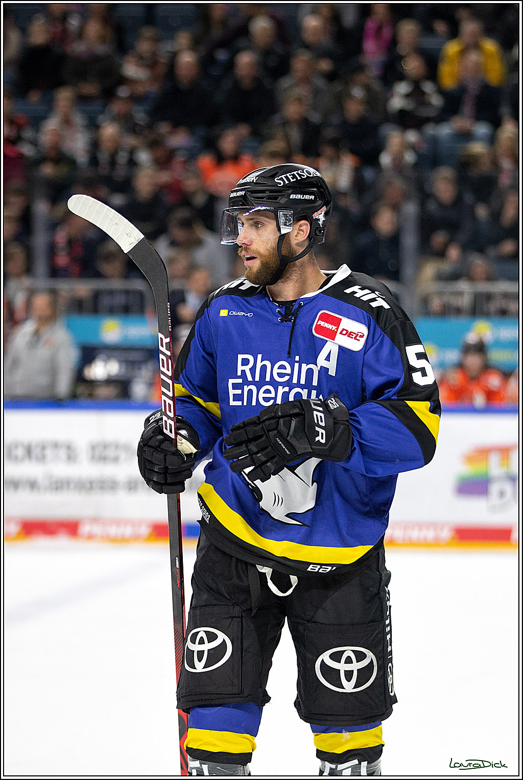 PENNY DEL; Koelner Haie- Fishtown Pinguins Bremerhaven; Koeln, 25.11.2021